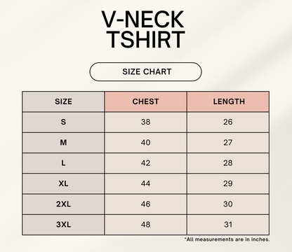 Men's Plain V-Neck T Shirt